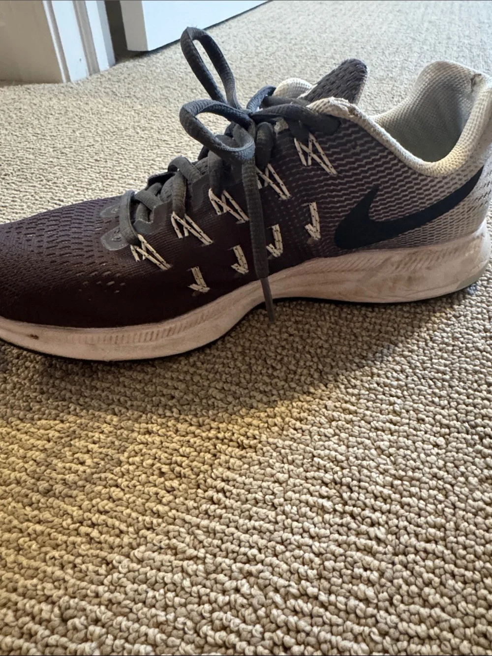 Nike Zoom Pegasus 33